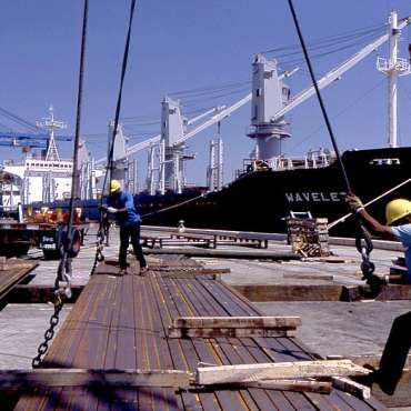 Stevedoring Services